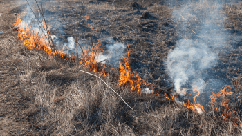 A burn line is created by a wildfire on vegetation