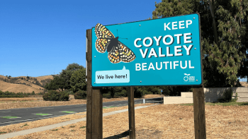 A turquoise sign stands tall on the side of the road reading "Keep Coyote Valley Beautiful"