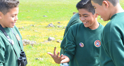 Three adolescents students in green sweatshirts looking at butterfly and smiling