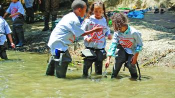 Three children wearing large grey "Boys & Girls Club" t-shirts and waders stand in a full creek holding small nets and looking at something the child on the left is holding up
