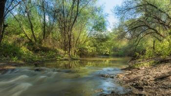 A stream rushes through a wooded area with green trees and a rocky bank, under a blue sky that shows through the tree branches.
