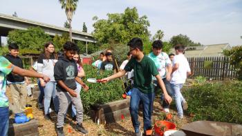 A group of about 10 middle school students stands in a garden in a loose line; the student in the front wearing a green t-shirt and jeans turns around to pass a small trowel to the student behind him