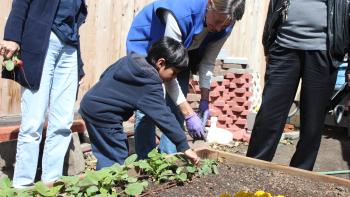 A child and an adult lean over a raised garden bed reaching out to touch a small green plant