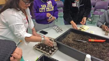 Three people gather around a circular table in classroom setting that has a shallow pan full of garden soil and small paper cups filled with soil; their hands reach forward to place seeds in the cups.