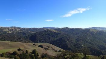 Looking across green hills covered with dark green trees with a smaller green hill in the foreground, under a bright blue sky.