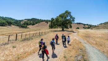 A group of 7 hikers walk away from the camera on a dirt trail surrounded by a large flat field of golden grasses dotted with dark green oak trees, with rolling golden hills in the distance