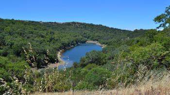 Overlooking an forest of lush green trees surrounding a bright blue reservoir, under a clear blue sky