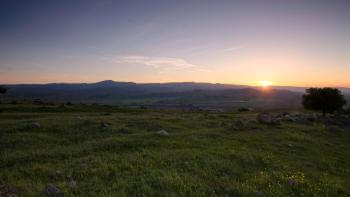 Green field of grass with yellow wildflowers in shadow as the sun sets over purple mountains far on the horizon, under a pale purple and yellow evening sky.
