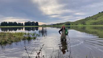 A person wearing waders and holding a big green net stands knee deep in a full wetland lake and smiles at the camera. Behind him are green hills and a dark row of trees in the distance.