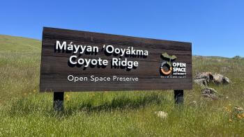 Dark brown wood sign on a grassy green slope that says "Máyyan 'Ooyákma - Coyote Ridge Open Space Preserve" in big white letters next to the Open Space Authority logo