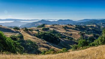 Rolling golden hills covered in dark green trees and crisscrossed with trails, with blue mountains in the distance, under a bright blue sky