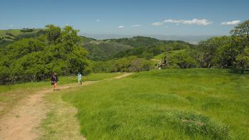 Two hikers walk towards the camera on a dirt trail across a green grassy hill covered in trees, with a view behind them of more hills and a blue sky