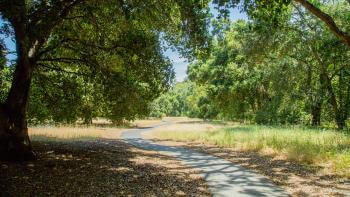 A paved trail winds through green and golden grass under shady oak trees