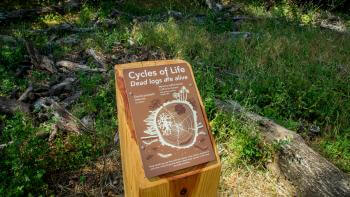 A brown educational panel on a wooden post with white text that says "Cycles of Life: Dead logs are alive!" and an illustration of a tree log cross-section with fungi and bugs