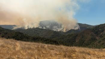 A brown field in the foreground, a wildfire burns across dark green hills in the background, with grey-brown smoke rising into the sky 