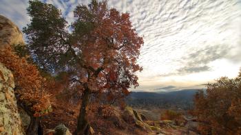 Large boulders next to a tree with red autumn leaves, overlooking a valley with houses in the distance under a sky filled with bright white streaky clouds.