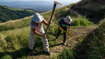 Two people wearing wide-brimmed hats in the act of swinging field hoes downwards on a dirt trail, surrounded by green grass on a hillside overlooking a view.