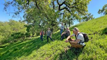 A group of 5 people sit and stand on a green grassy hill under some shady oak trees. They are dressed in t-shirts and long work pants and wear baseball hats.