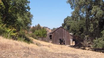 A slope covered with golden grass and green trees, where the remains of an old wooden barn sit