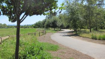 An asphalt trail winds through a park with green grass, a split-rail fence, and smallish trees