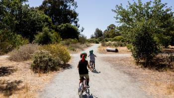 Two children on tricycles ride away from the camera on a dirt and gravel pathway bordered by native plants and large trees