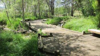 A wooden boardwalk pathway winds through green reeds and plants, under the shade of green, willowy trees