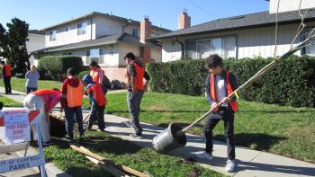A group of teens wearing orange vests work on planting a tree sapling in a hole next to a sidewalk in a residential neighborhood
