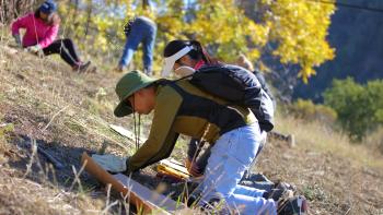 A volunteer at Furtado Barn kneels on the sloped ground to plant a native plant