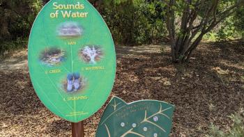 An educational sign shaped like a green leaf on a brown post with the words "Sounds of water" and photos, in front of a shaded park area with a trail