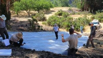 Volunteers anchor a sheet of plastic to the ground to heat the soil and kill invasive seed beds
