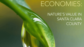 A report cover that reads, "Healthy Lands & Healthy Economies: Nature's Value in Santa Clara County." A green leaf is pictured up close on the cover with a water droplet.