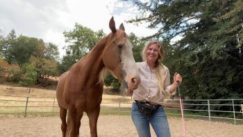 Jennifer wearing jeans and a white shirt stands smiling to the right of a chestnut brown horse