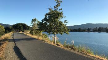 A paved trail lined with small trees next to a large blue lake, with blue mountains on the horizon, under a clear blue sky