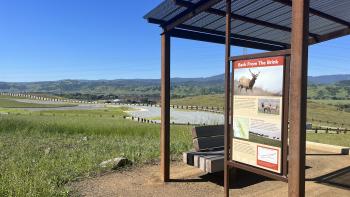A bench under a metal overlook with education signs about elk and the native habitat, overlooking a green hillside and parking lot in the distance