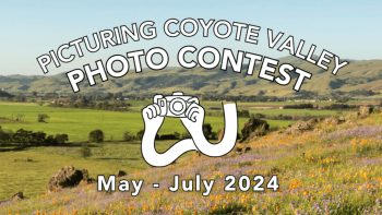Picturing Coyote Valley Photo Contest Main Graphic