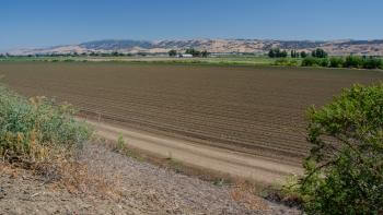 North Pajaro River Agricultural Preserve - an agricultural field sits in the foreground with the golden Diablo hills in the background