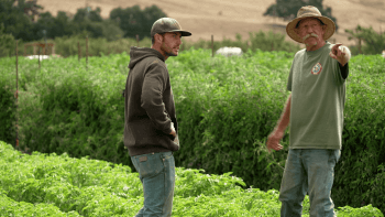 Nick and Mike Thorp in the field at Spade and Plow farm