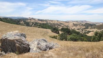 Grasslands at the Tilton Ranch. There are large boulders in the foreground and the background shows the Santa Cruz Mountain Range.