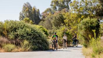 A family bikes down a paved trail surrounded by green trees