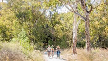 Family bikes down a trail surrounded by trees