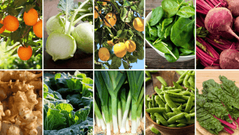 Winter Produce Collage
