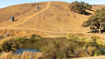 A golden hill starts to show regrowth after a fire