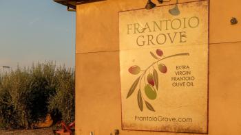 A building in golden hour lighting shows a sign for Frantoio Grove