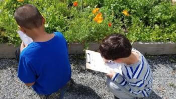 Two students work on an assignment next to a garden bed