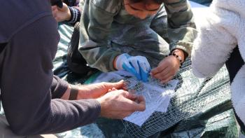 Students work on creating seed baskets to protect oak seedlings
