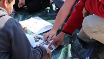 Students gather around a book to identify plants