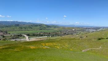A trail among a field of yellow wildflowers and green hills