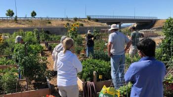 A group of individuals stand around a community garden