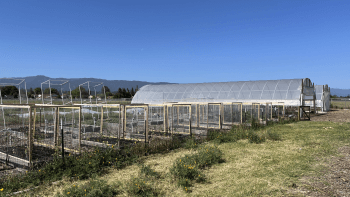 Newly constructed farm beds located at Martial Cottle Park