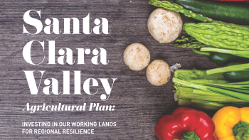 Report cover with white text that reads "Santa Clara Valley Agricultural Plan" next to photos of fresh produce on a wood surface